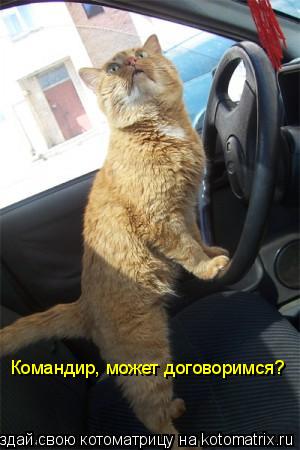 Командир, может договоримся?... Котоматрица: Командир, может договоримся?