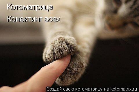 Котоматрица Конектинг всех... Котоматрица: Котоматрица Конектинг всех