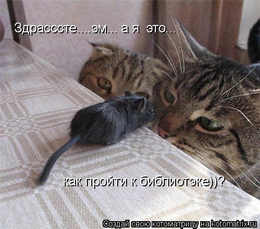 Здрасссте....эм... а я это... как пройти к библиотэке))?... Котоматрица: Здрасссте....эм... а я это... как пройти к библиотэке))?