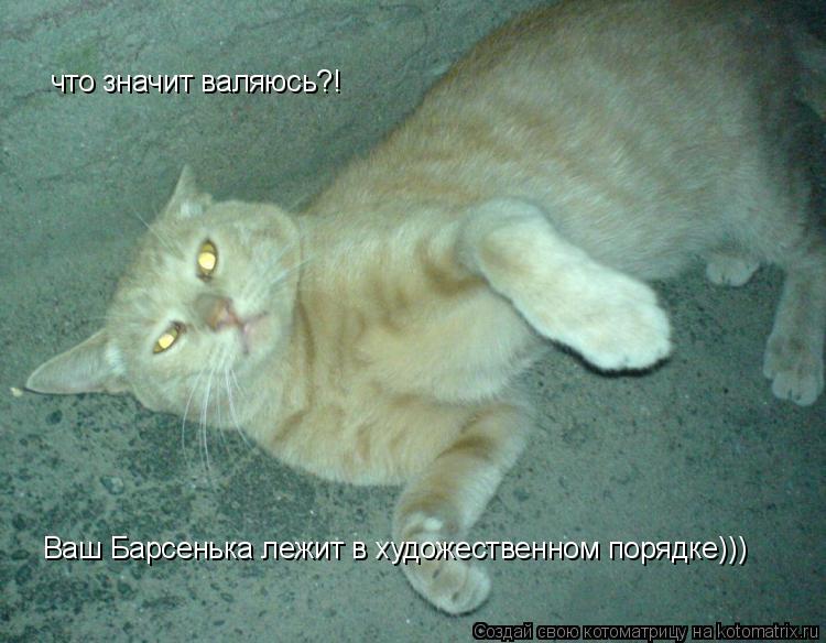 что значит валяюсь?! Ваш Барсенька лежит в художественном порядке)))... Котоматрица: что значит валяюсь?! Ваш Барсенька лежит в художественном порядке)))