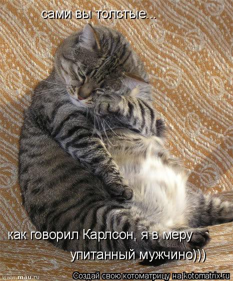 сами вы толстые... как говорил Карлсон, я в меру упитанный мужчино)))... Котоматрица: сами вы толстые... как говорил Карлсон, я в меру упитанный мужчино)))