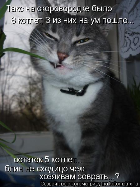 Такс на скоровородке было 8 котлет, 3 из них на ум пошло... остаток 5 котлет... блин не сходицо чеж ... Котоматрица: Такс на скоровородке было 8 котлет, 3 из них на ум пошло... остаток 5 котлет... блин не сходицо чеж хозяивам соврать...?