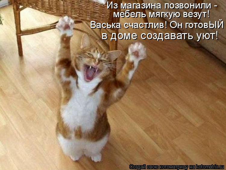 Из магазина позвонили - мебель мягкую везут! Васька счастлив! Он готовЫЙ в доме создавать уют!... Котоматрица: Из магазина позвонили - мебель мягкую везут! Васька счастлив! Он готовЫЙ в доме создавать уют!
