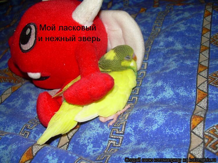 Мой ласковый и нежный зверь... Котоматрица: Мой ласковый и нежный зверь