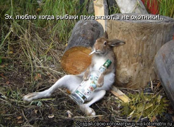 Эх, люблю когда рыбаки приезжают, а не охотники!.. Эх, люблю когда рыбаки приезжают, а не охотники!..... Котоматрица: Эх, люблю когда рыбаки приезжают, а не охотники!.. Эх, люблю когда рыбаки приезжают, а не охотники!..