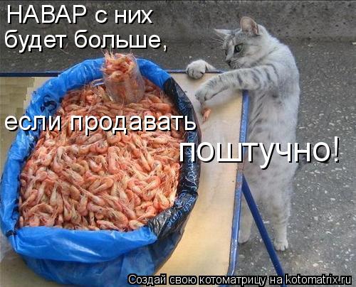 НАВАР с них будет больше, если продавать поштучно!... Котоматрица: НАВАР с них будет больше, если продавать поштучно!