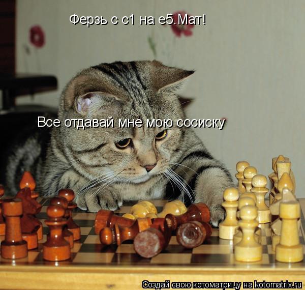 Ферзь с с1 на е5.Мат! Все отдавай мне мою сосиску... Котоматрица: Ферзь с с1 на е5.Мат! Все отдавай мне мою сосиску