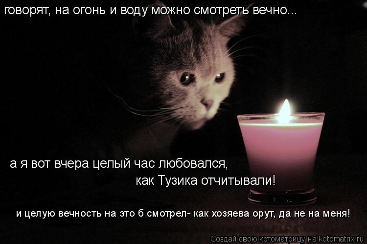 говорят, на огонь и воду можно смотреть вечно... а я вот вчера целый час любовался, как Тузика отчиты... Котоматрица: говорят, на огонь и воду можно смотреть вечно... а я вот вчера целый час любовался, как Тузика отчитывали! а я вот вчера целый час любовался,