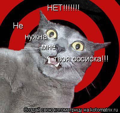НЕТ!!!!!!! Не нужна мне твоя сосиска!!!... Котоматрица: НЕТ!!!!!!! Не нужна мне твоя сосиска!!!