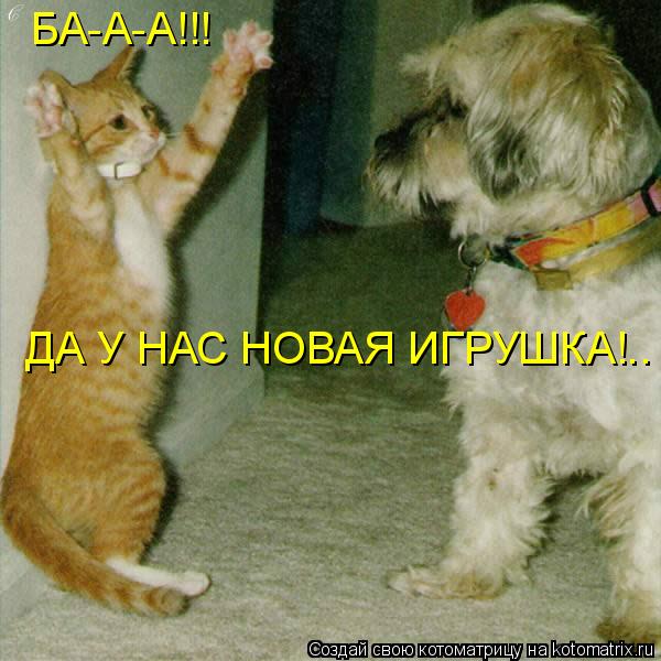 БА-А-А!!! ДА У НАС НОВАЯ ИГРУШКА!..... Котоматрица: БА-А-А!!! ДА У НАС НОВАЯ ИГРУШКА!..