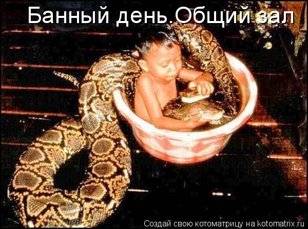 Банный день.Общий зал... Котоматрица: Банный день.Общий зал
