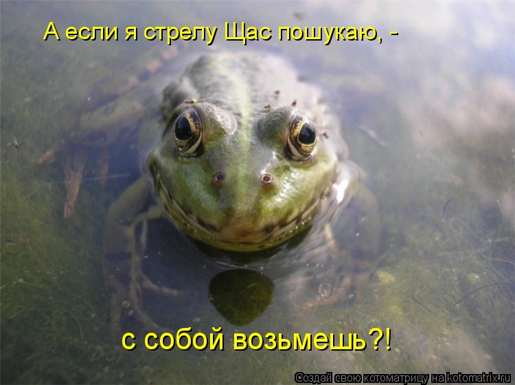 А если я стрелу Щас пошукаю, - с собой возьмешь?!... Котоматрица: А если я стрелу Щас пошукаю, - с собой возьмешь?!