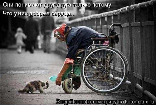 Они понимают друг-друга только потому, Что у них добрые сердца...... Котоматрица: Они понимают друг-друга только потому, Что у них добрые сердца...