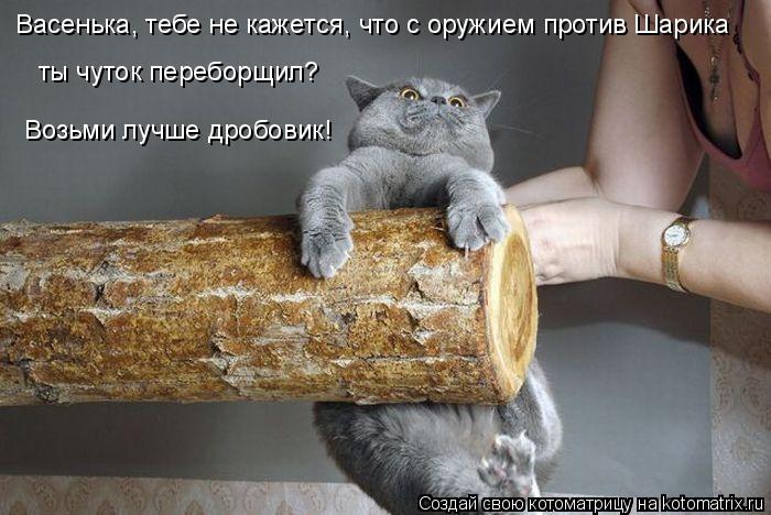 Васенька, тебе не кажется, что с оружием против Шарика Васенька, тебе не кажется, что с оружием прот... Котоматрица: Васенька, тебе не кажется, что с оружием против Шарика Васенька, тебе не кажется, что с оружием против Шарика ты чуток переборщил? Возьми лу