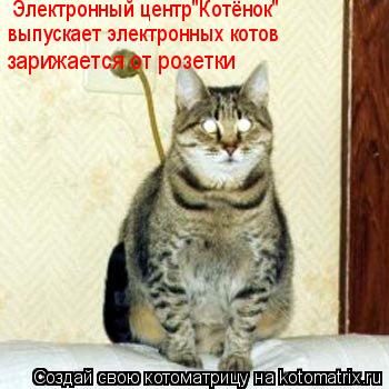 Электронный центр"Котёнок" выпускает электронных котов зарижается от розетки... Котоматрица: Электронный центр"Котёнок" выпускает электронных котов зарижается от розетки
