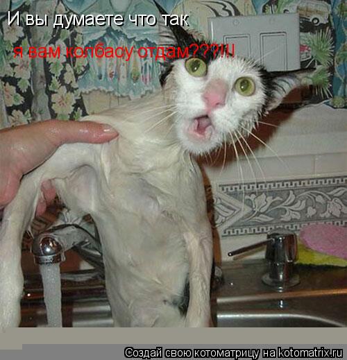 И вы думаете что так я вам колбасу отдам???!!!... Котоматрица: И вы думаете что так я вам колбасу отдам???!!!