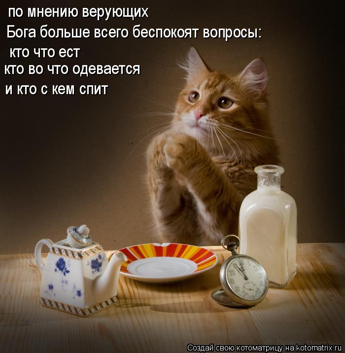по мнению верующих Бога больше всего беспокоят вопросы: кто что ест кто во что одевается и кто с ке... Котоматрица: по мнению верующих Бога больше всего беспокоят вопросы: кто что ест кто во что одевается и кто с кем спит
