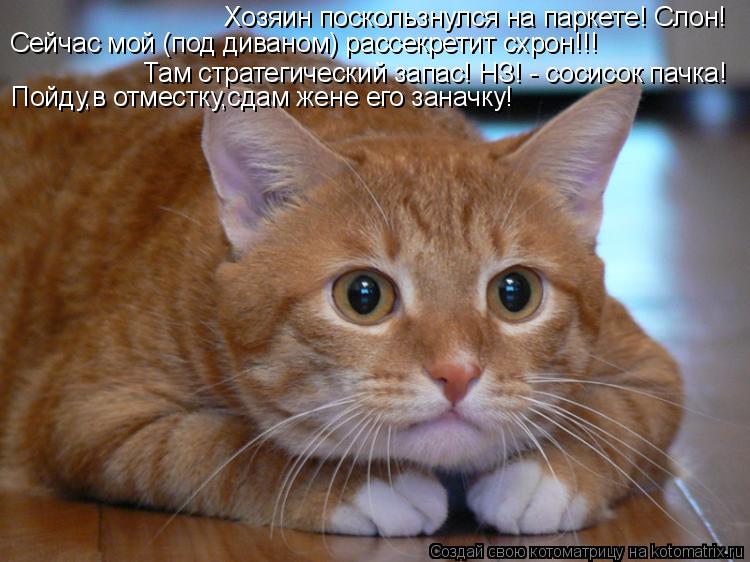 Хозяин поскользнулся на паркете! Слон! Сейчас мой (под диваном) рассекретит схрон!!! Там стратегическ... Котоматрица: Хозяин поскользнулся на паркете! Слон! Сейчас мой (под диваном) рассекретит схрон!!! Там стратегический запас! НЗ! - сосисок пачка! Пойду,в отм