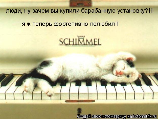 люди, ну зачем вы купили барабанную установку?!!! я ж теперь фортепиано полюбил!!... Котоматрица: люди, ну зачем вы купили барабанную установку?!!! я ж теперь фортепиано полюбил!!