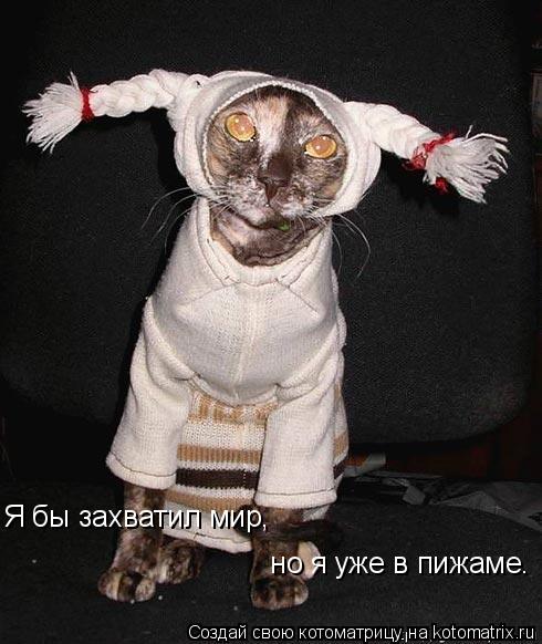 Я бы захватил мир, но я уже в пижаме.... Котоматрица: Я бы захватил мир, но я уже в пижаме.