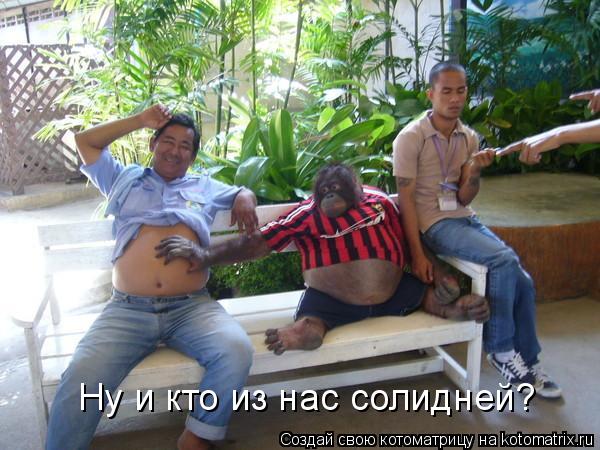 Ну и кто из нас солидней?... Котоматрица: Ну и кто из нас солидней?