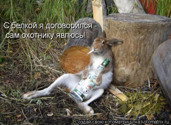 С белкой я договорился - сам охотнику явлюсь!... Котоматрица: С белкой я договорился - сам охотнику явлюсь!