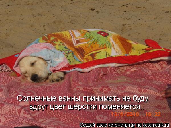 Котоматрица: Солнечные ванны принимать не буду, вдруг цвет шёрстки поменяется..