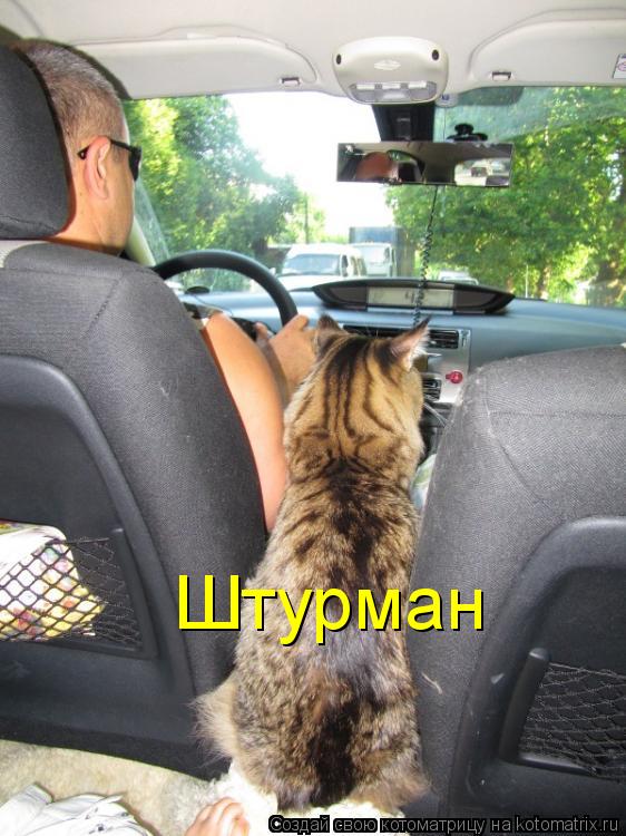 Штурман... Котоматрица: Штурман