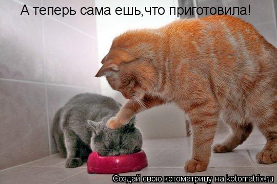 А теперь сама ешь,что приготовила!... Котоматрица: А теперь сама ешь,что приготовила!
