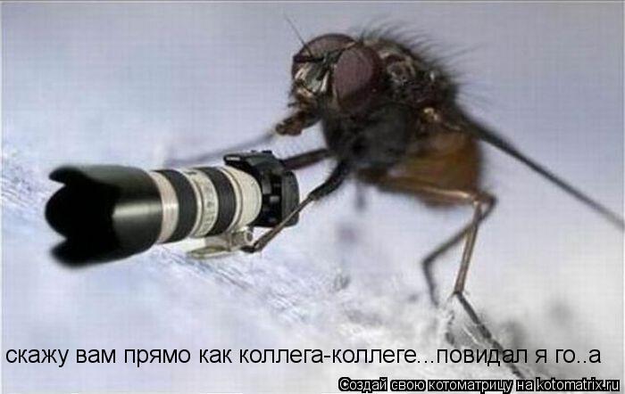 скажу вам прямо как коллега-коллеге...повидал я го..а... Котоматрица: скажу вам прямо как коллега-коллеге...повидал я го..а