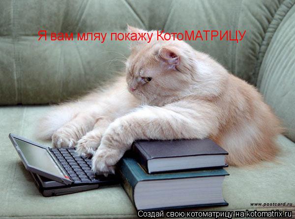 Я вам мляу покажу КотоМАТРИЦУ... Котоматрица: Я вам мляу покажу КотоМАТРИЦУ