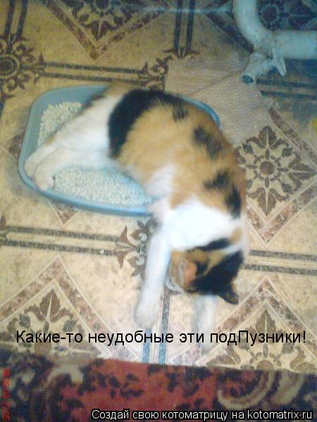 Какие-то неудобные эти подПузники!... Котоматрица: Какие-то неудобные эти подПузники!