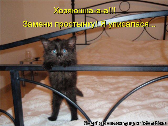 Хозяюшка-а-а!!! Замени простынку! Я уписалася...... Котоматрица: Хозяюшка-а-а!!! Замени простынку! Я уписалася...