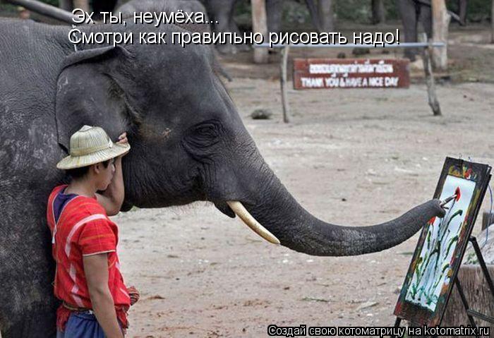 Эх ты, неумёха... Смотри как правильно рисовать надо!... Котоматрица: Эх ты, неумёха... Смотри как правильно рисовать надо!