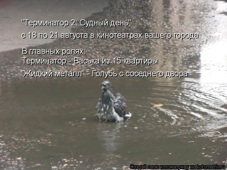 "Терминатор 2: Судный день" с 18 по 21 августа в кинотеатрах вашего города В главных ролях: "Жидкий м... Котоматрица: "Терминатор 2: Судный день" с 18 по 21 августа в кинотеатрах вашего города В главных ролях: "Жидкий металл" - Голубь с соседнего двора Терминатор
