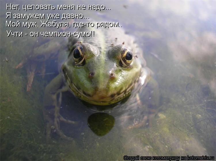 Нет, целовать меня не надо... Я замужем уже давно... Мой муж, Жабуля, где-то рядом.. Учти - он чемпио... Котоматрица: Нет, целовать меня не надо... Я замужем уже давно... Мой муж, Жабуля, где-то рядом.. Учти - он чемпион-сумо!!