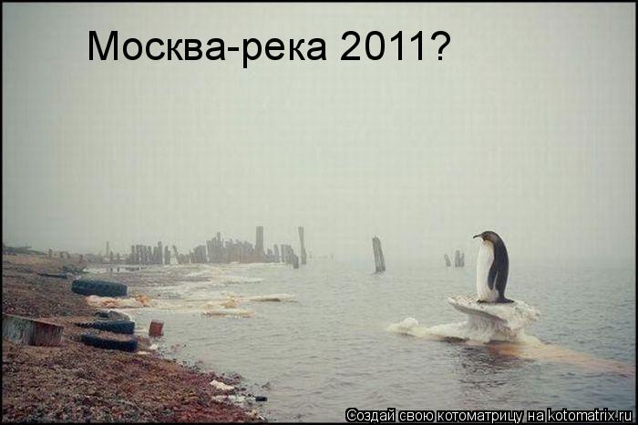 Москва-река 2011?... Котоматрица: Москва-река 2011?