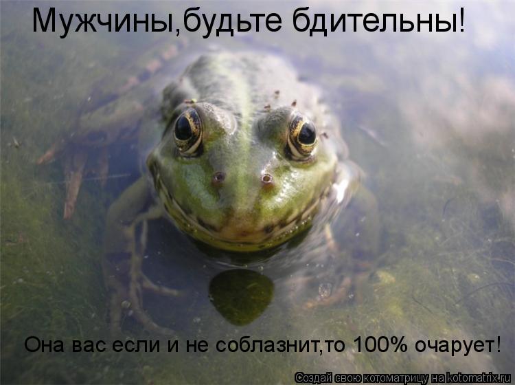 Мужчины,будьте бдительны! Она вас если и не соблазнит,то 100% очарует!... Котоматрица: Мужчины,будьте бдительны! Она вас если и не соблазнит,то 100% очарует!