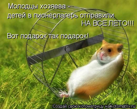 Молодцы хозяева - детей в пионерлагерь отправили НА ВСЕ ЛЕТО!!! Вот подарок так подарок!... Котоматрица: Молодцы хозяева - детей в пионерлагерь отправили НА ВСЕ ЛЕТО!!! Вот подарок так подарок!
