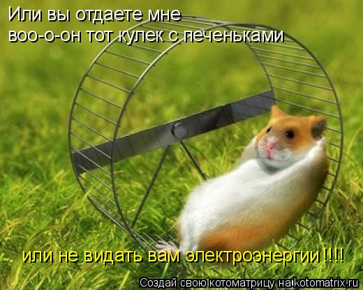 Или вы отдаете мне воо-о-он тот кулек с печеньками или не видать вам электроэнергии !!!!... Котоматрица: Или вы отдаете мне воо-о-он тот кулек с печеньками или не видать вам электроэнергии !!!!