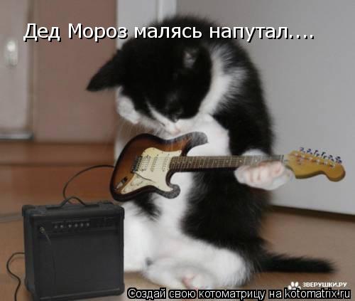 Дед Мороз малясь напутал....... Котоматрица: Дед Мороз малясь напутал....