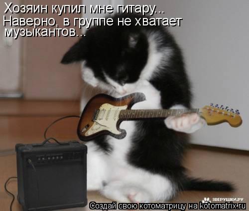 Хозяин купил мне гитару... Наверно, в группе не хватает музыкантов...... Котоматрица: Хозяин купил мне гитару... Наверно, в группе не хватает музыкантов...