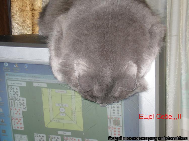 Еще! Себе,,,!!... Котоматрица: Еще! Себе,,,!!