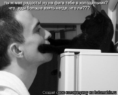 ты ж мая радость! ну на фига тебе в холодильник? что, еды больше взять негде, что ли???... Котоматрица: ты ж мая радость! ну на фига тебе в холодильник? что, еды больше взять негде, что ли???