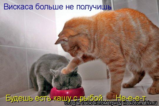 Вискаса больше не получишь Будешь есть кашу с рыбой......Не-е-е-т... Котоматрица: Вискаса больше не получишь Будешь есть кашу с рыбой......Не-е-е-т