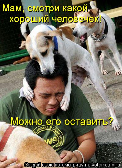 Мам, смотри какой хороший человечек! Можно его оставить?... Котоматрица: Мам, смотри какой хороший человечек! Можно его оставить?