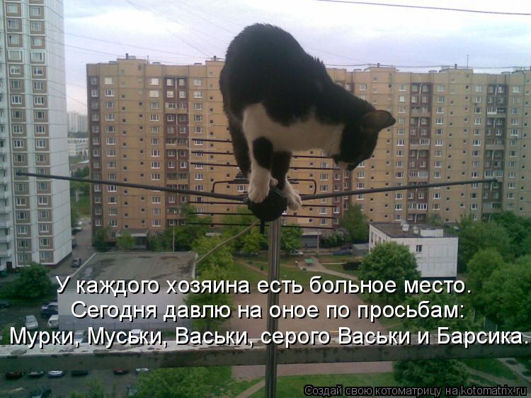 У каждого хозяина есть больное место. Сегодня давлю на оное по просьбам: Мурки, Муськи, Васьки, сероо... Котоматрица: У каждого хозяина есть больное место. Сегодня давлю на оное по просьбам: Мурки, Муськи, Васьки, сероо Мурки, Муськи, Васьки, серого Васьки и Б
