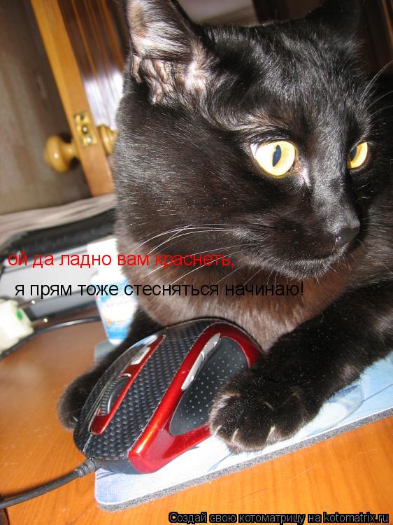 я прям тоже стесняться начинаю! ой да ладно вам краснеть,... Котоматрица: я прям тоже стесняться начинаю! ой да ладно вам краснеть,