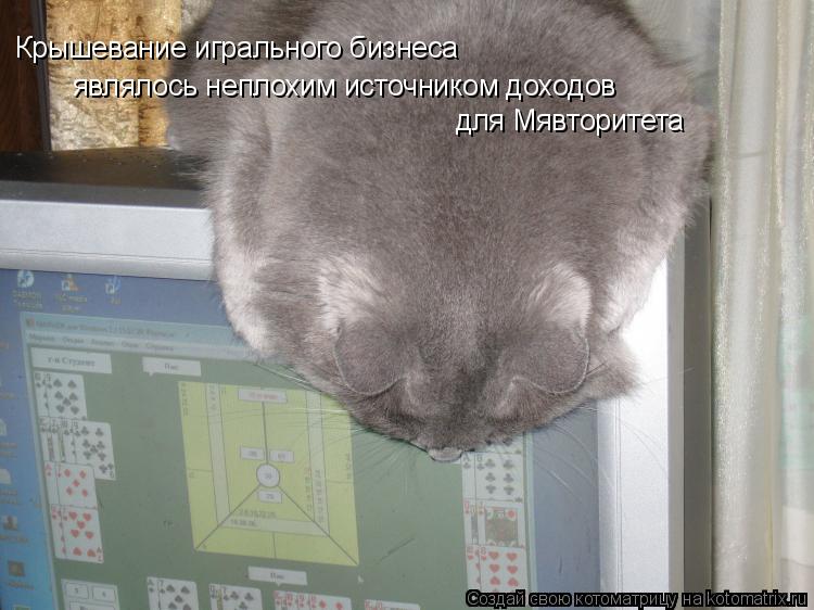 Крышевание игрального бизнеса являлось неплохим источником доходов для Мявторитета... Котоматрица: Крышевание игрального бизнеса являлось неплохим источником доходов для Мявторитета