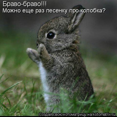 Браво-браво!!! Можно еще раз песенку про колобка?... Котоматрица: Браво-браво!!! Можно еще раз песенку про колобка?